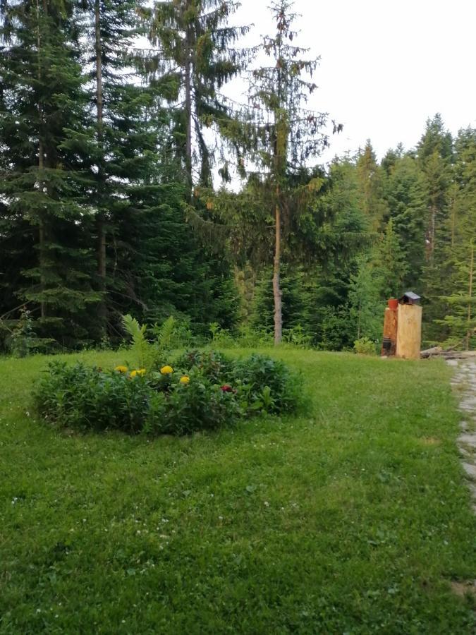 P-Zlatar, Apartman 3 Brdo Экстерьер фото